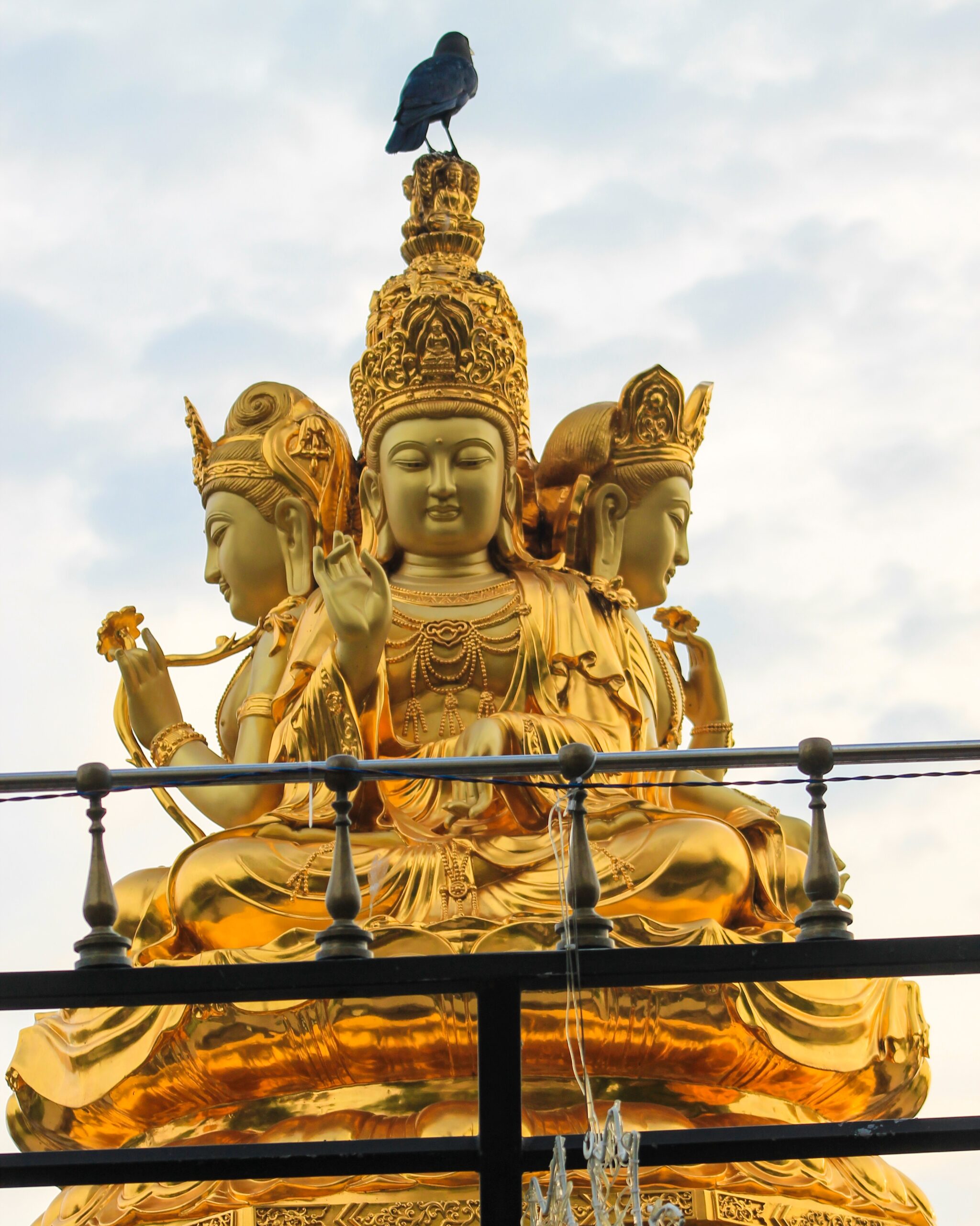 Colombo City Day Tour
