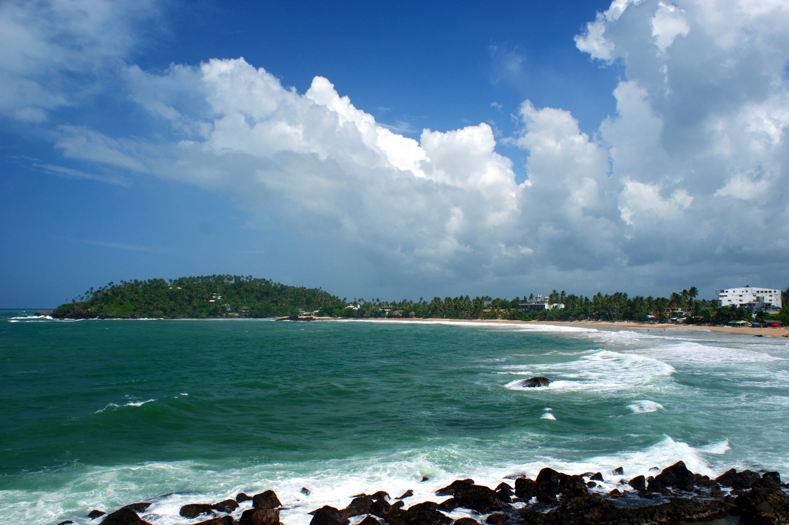 Ayurveda & Wellness Retreat
